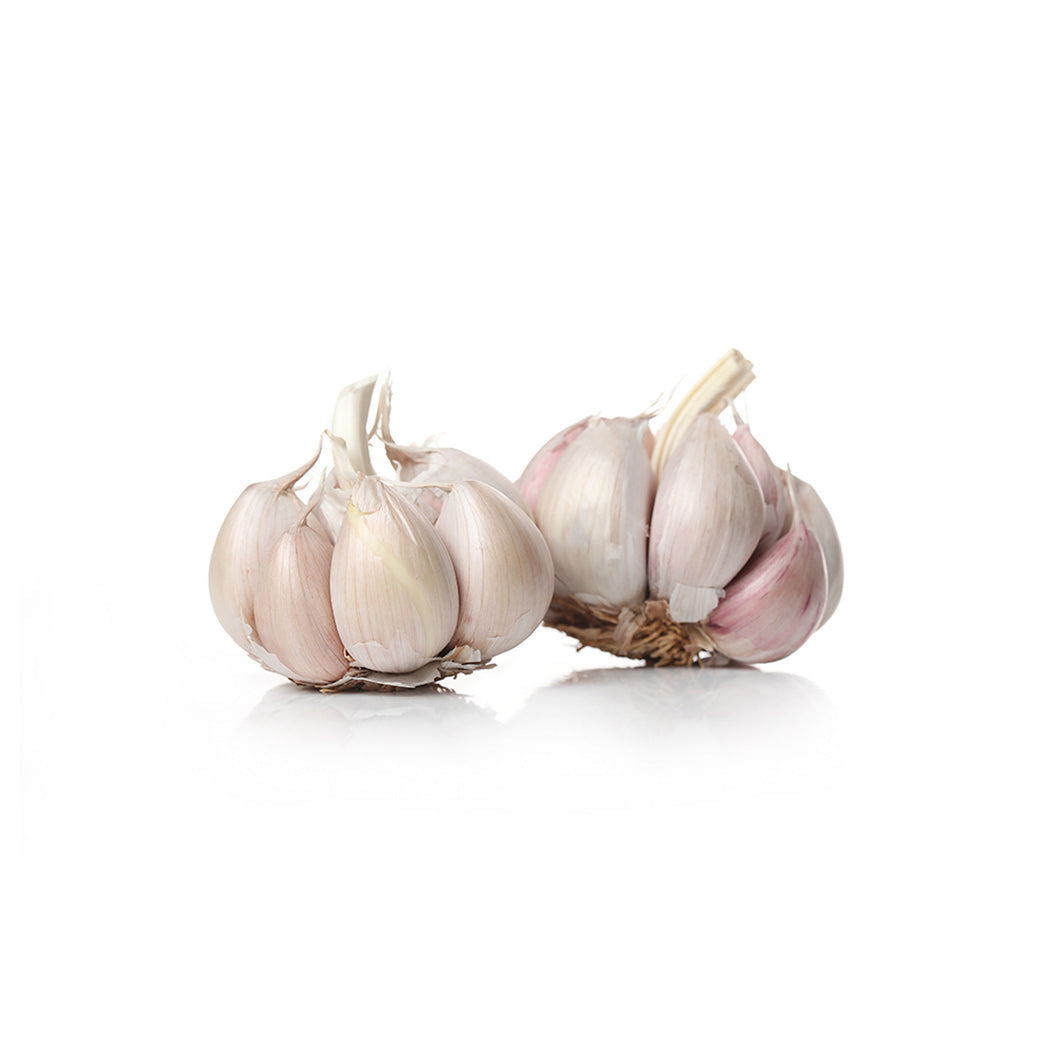 Fresh Hybrid Garlic