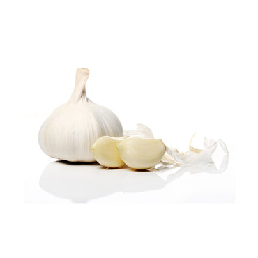 Fresh Hybrid Garlic