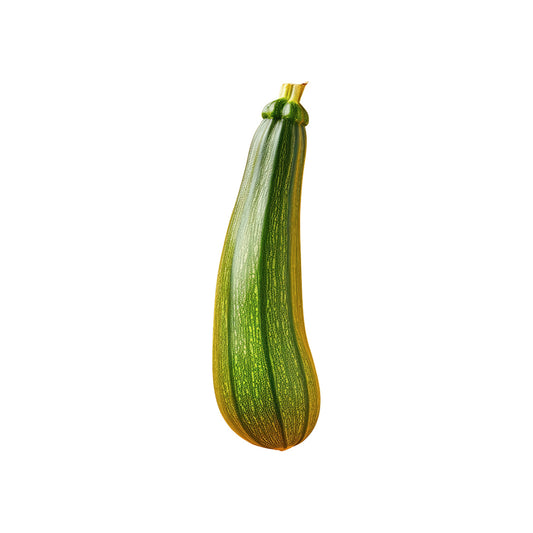 Green Bush Zucchini Seed