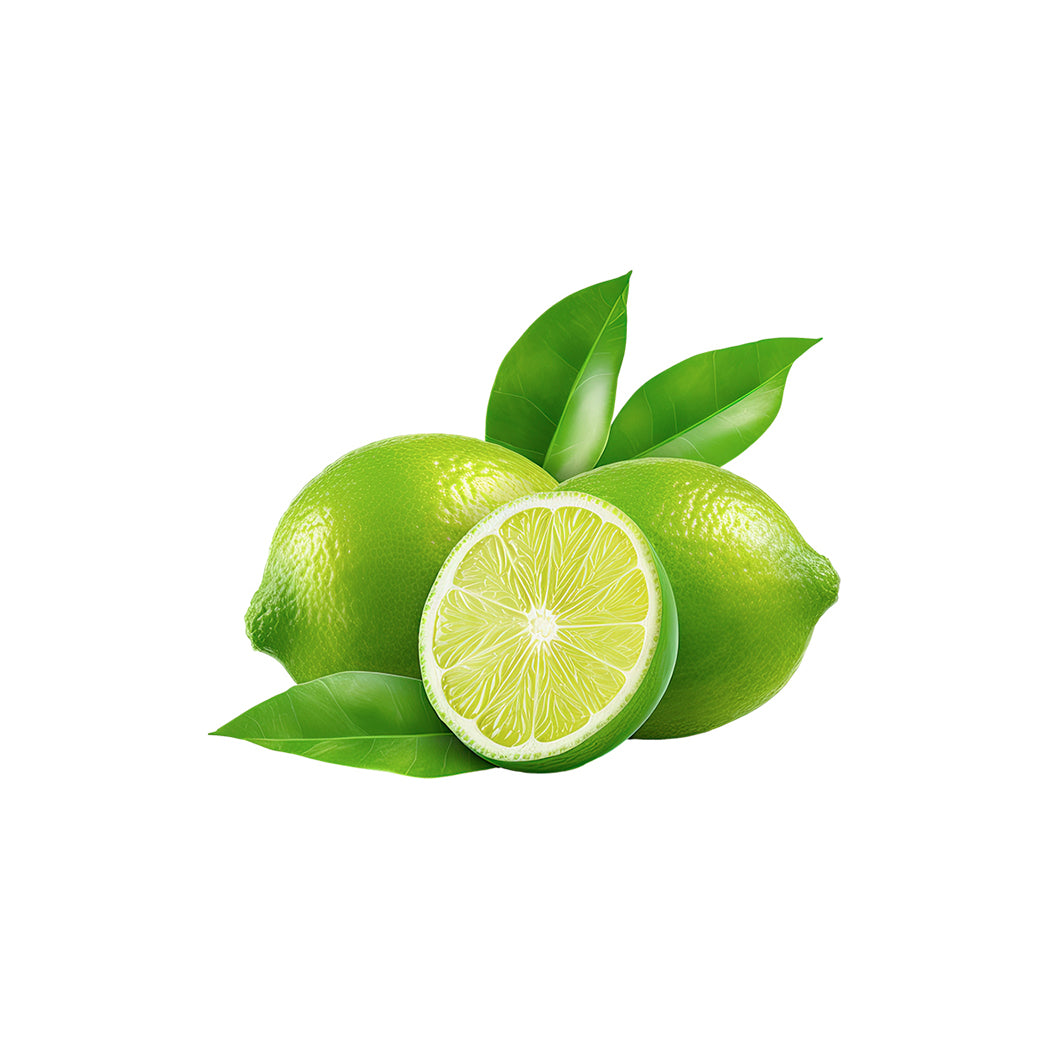 Lemon Fruit Slices