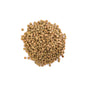 Canadian Green Lentils