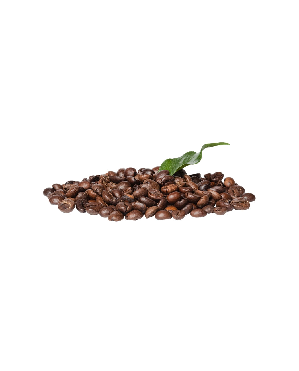Fresh Roasted Coffee Beans