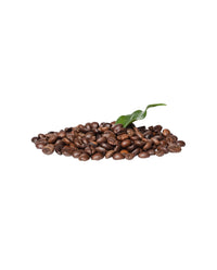 Fresh Roasted Coffee Beans