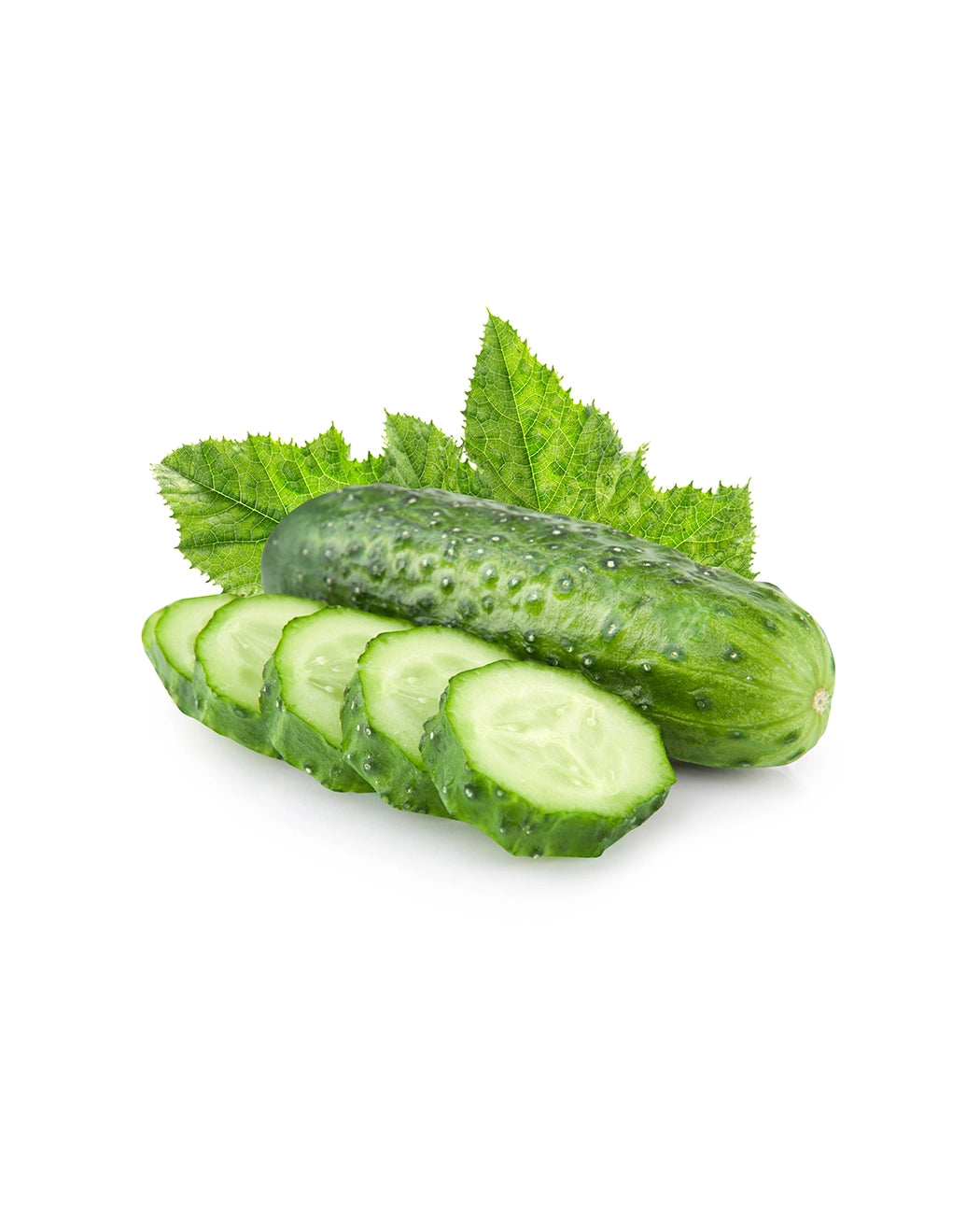 Fresh Organic Style Cucumber