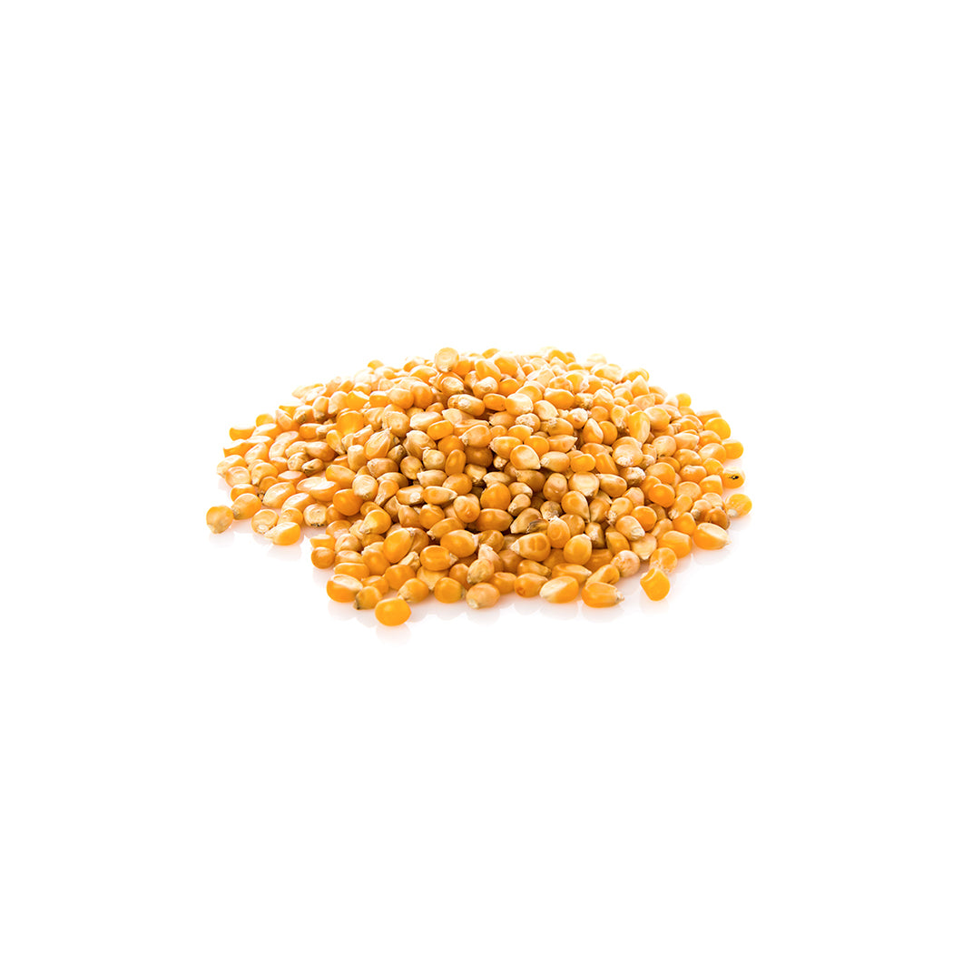 Fresh Popular Chana Dal