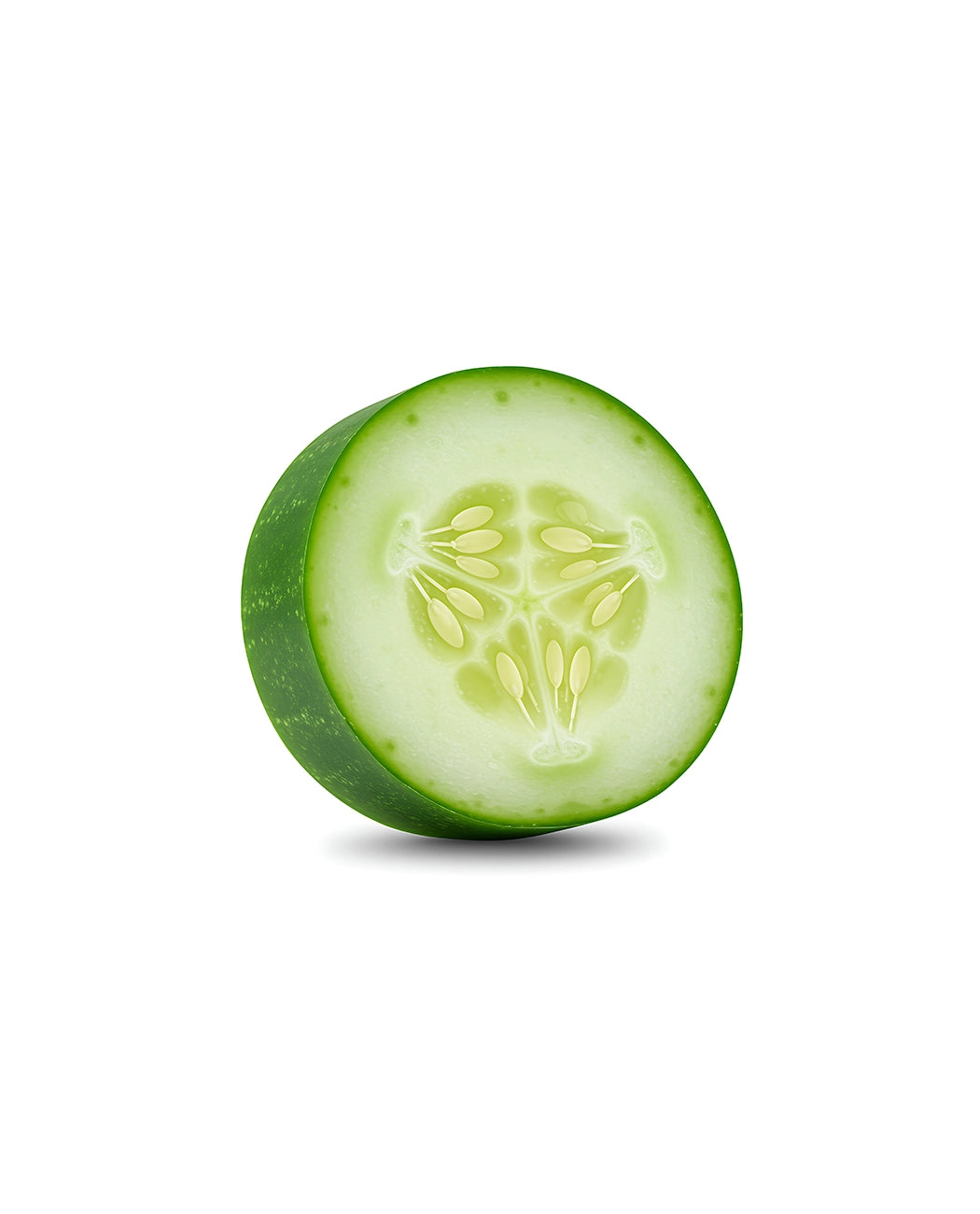 Fresh Organic Style Cucumber