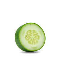 Fresh Organic Style Cucumber