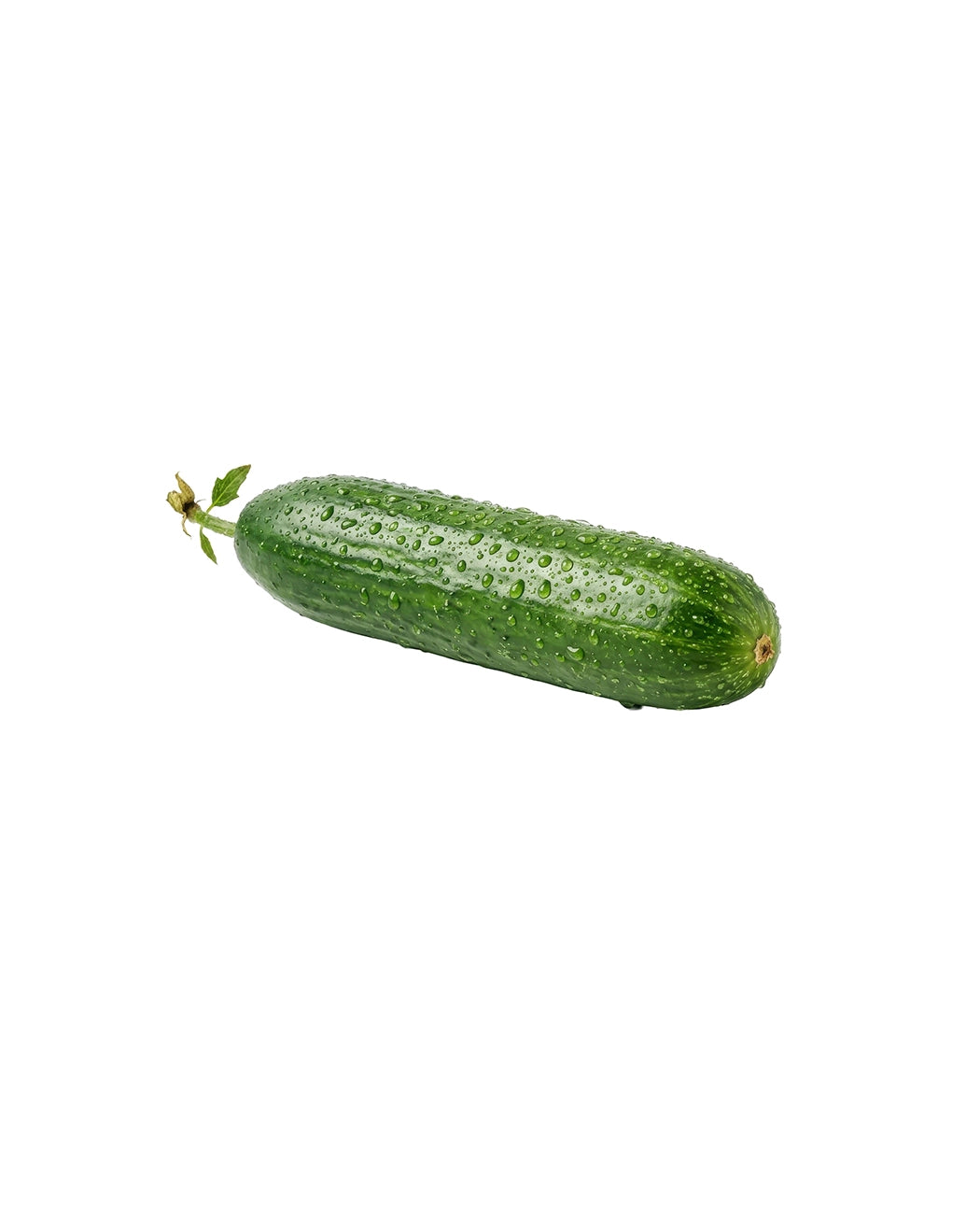 Fresh Organic Style Cucumber