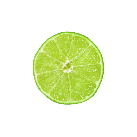 Lemon Fruit Slices